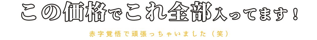 この価格でこれ全部入ってます！