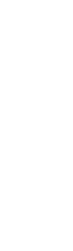 全部盛ったよ。